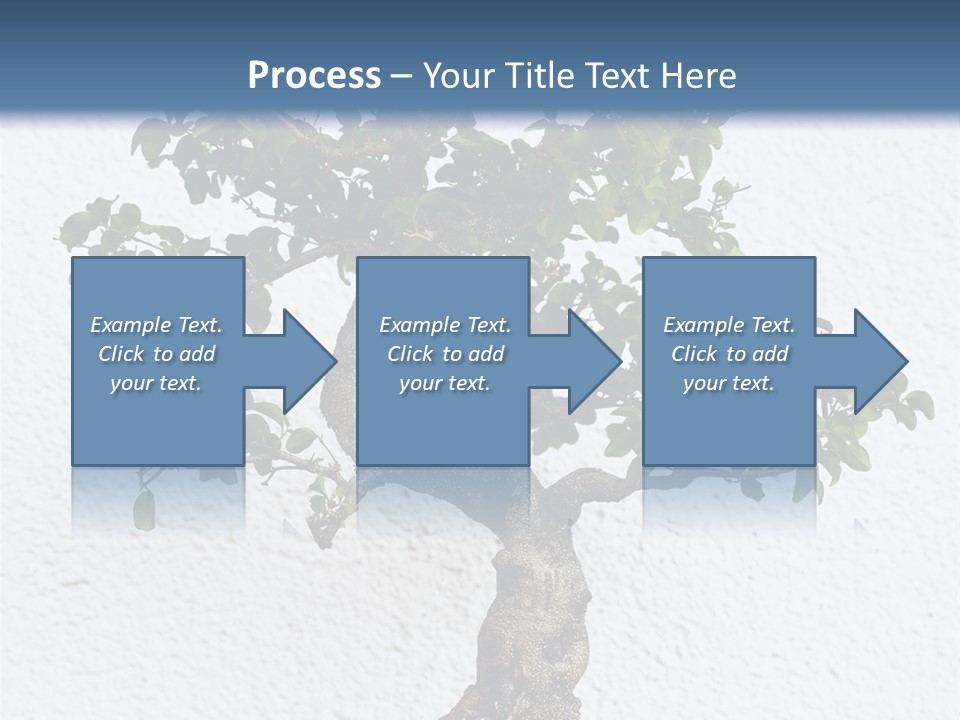 Prosper Old Nature PowerPoint Template