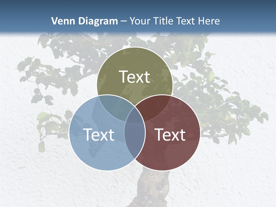 Prosper Old Nature PowerPoint Template