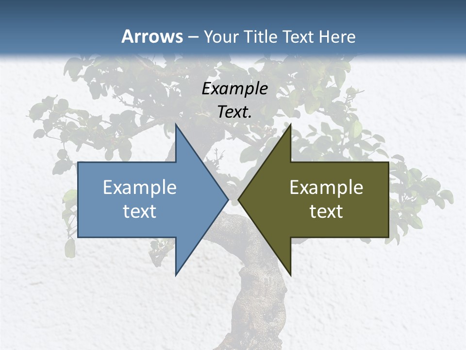 Prosper Old Nature PowerPoint Template