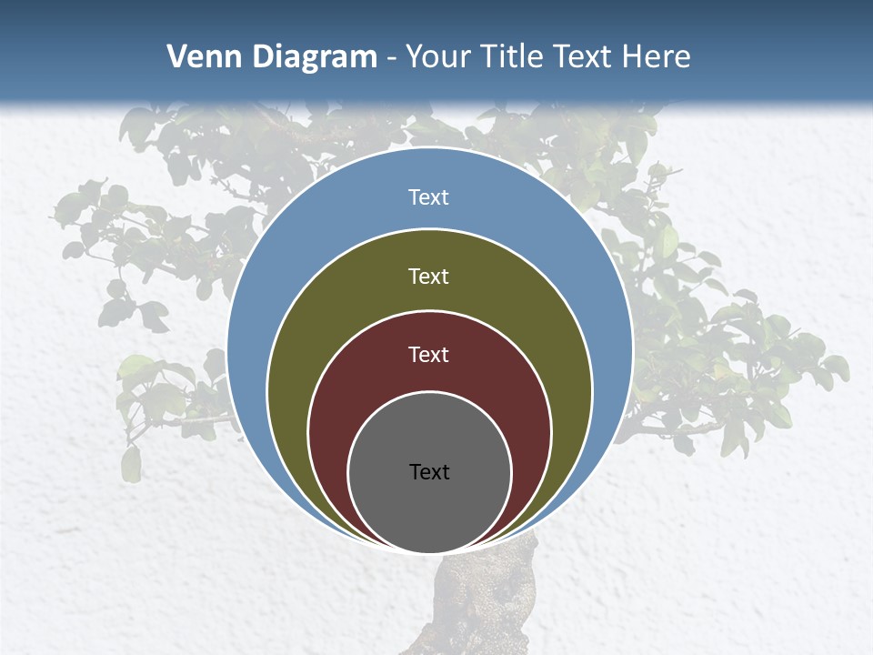 Prosper Old Nature PowerPoint Template