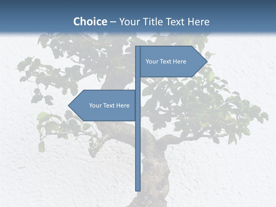 Prosper Old Nature PowerPoint Template