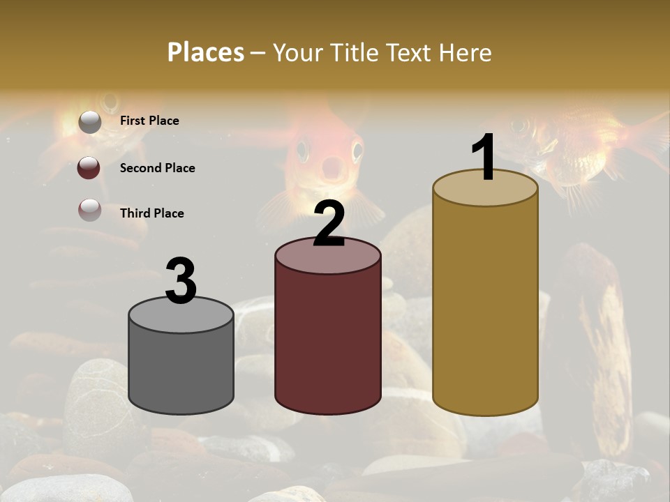 Beauty Bubbles Zen PowerPoint Template