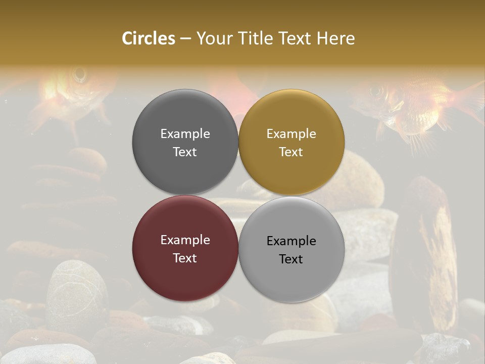 Beauty Bubbles Zen PowerPoint Template