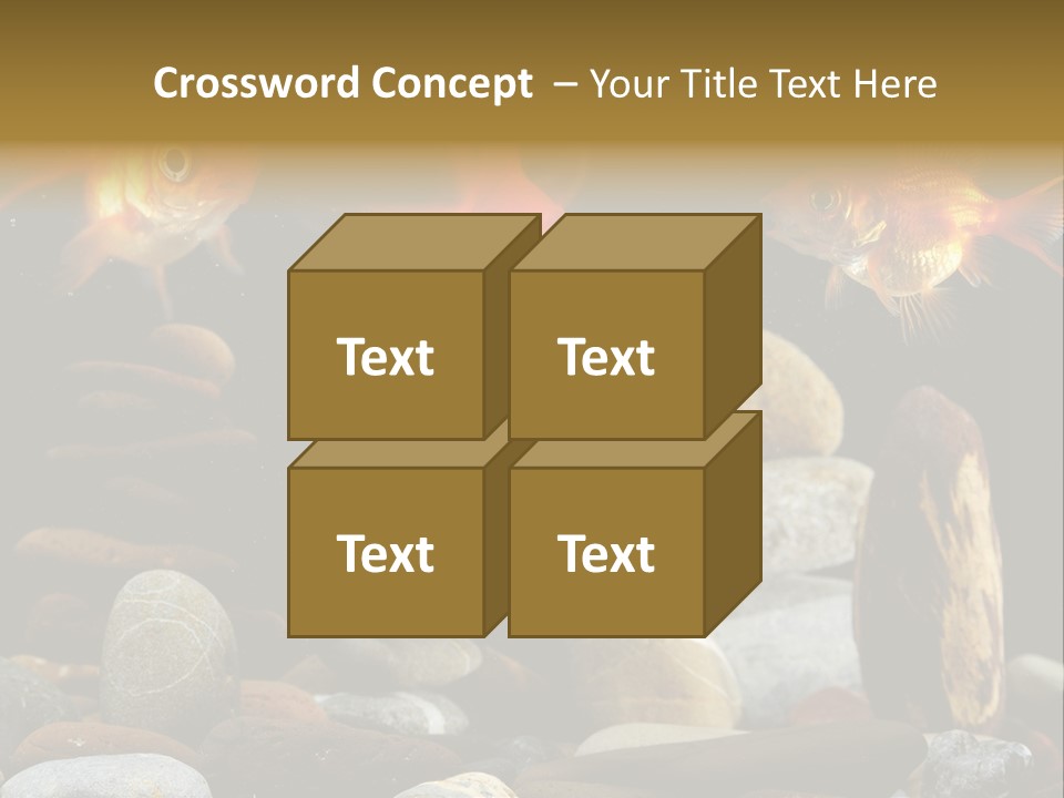 Beauty Bubbles Zen PowerPoint Template