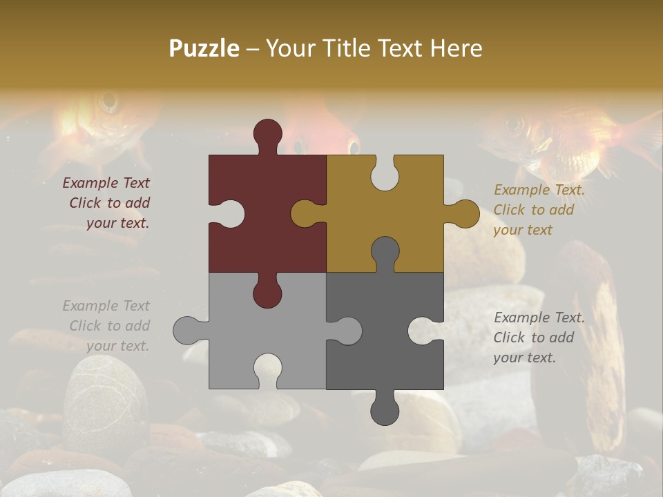 Beauty Bubbles Zen PowerPoint Template