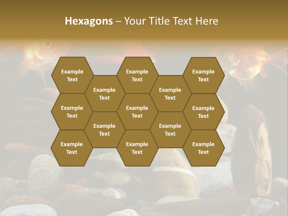 Beauty Bubbles Zen PowerPoint Template