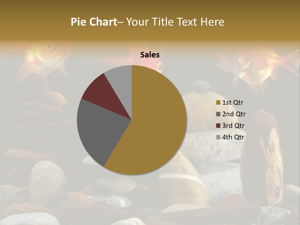 Beauty Bubbles Zen PowerPoint Template