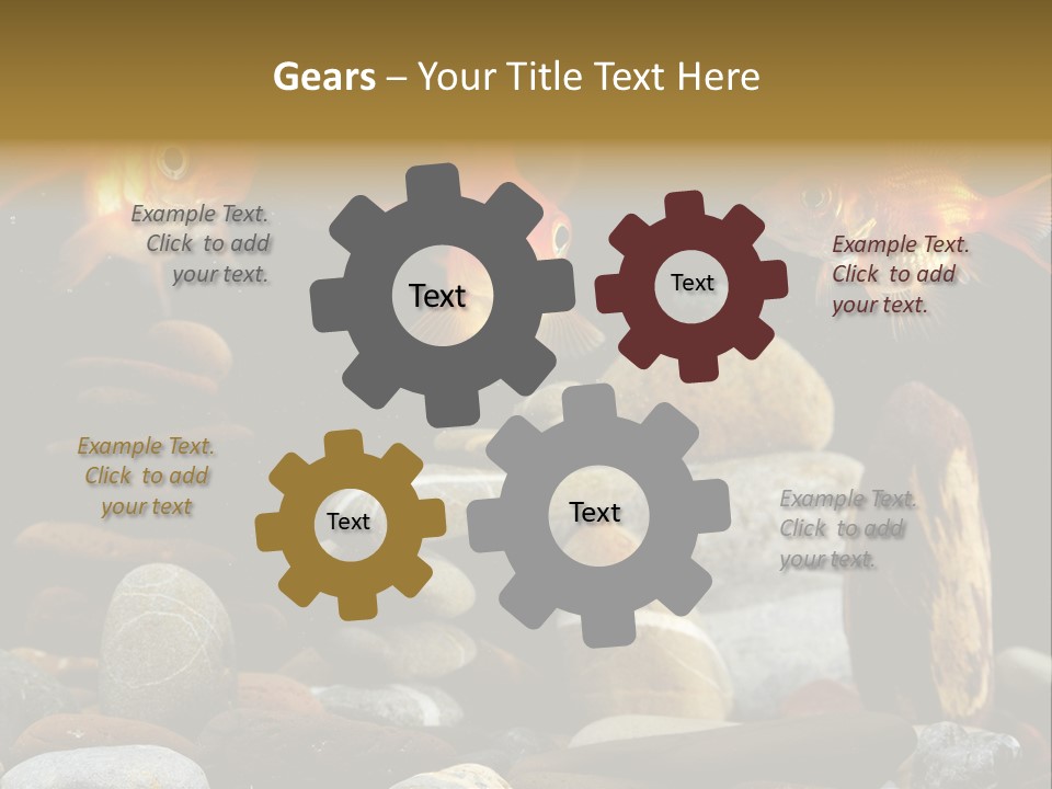 Beauty Bubbles Zen PowerPoint Template