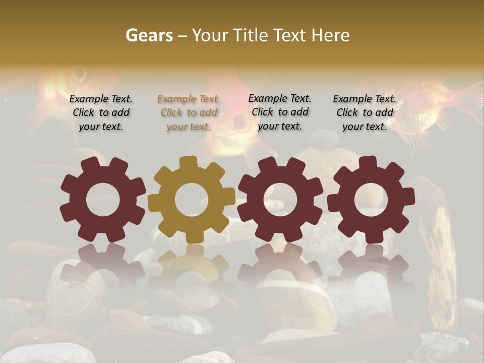 Beauty Bubbles Zen PowerPoint Template