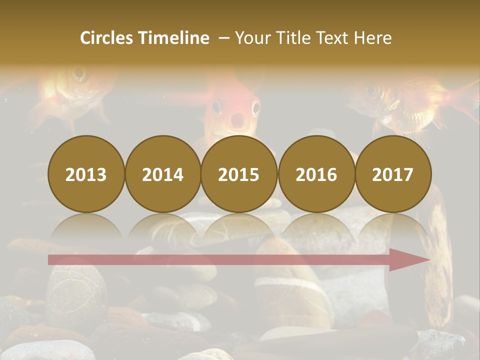 Beauty Bubbles Zen PowerPoint Template