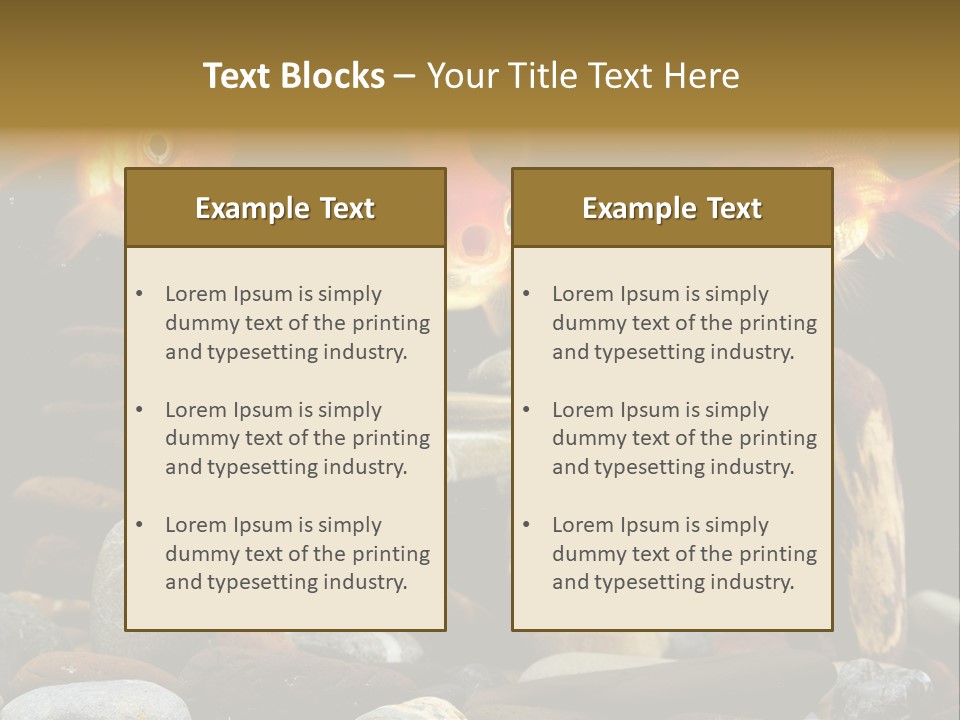 Beauty Bubbles Zen PowerPoint Template