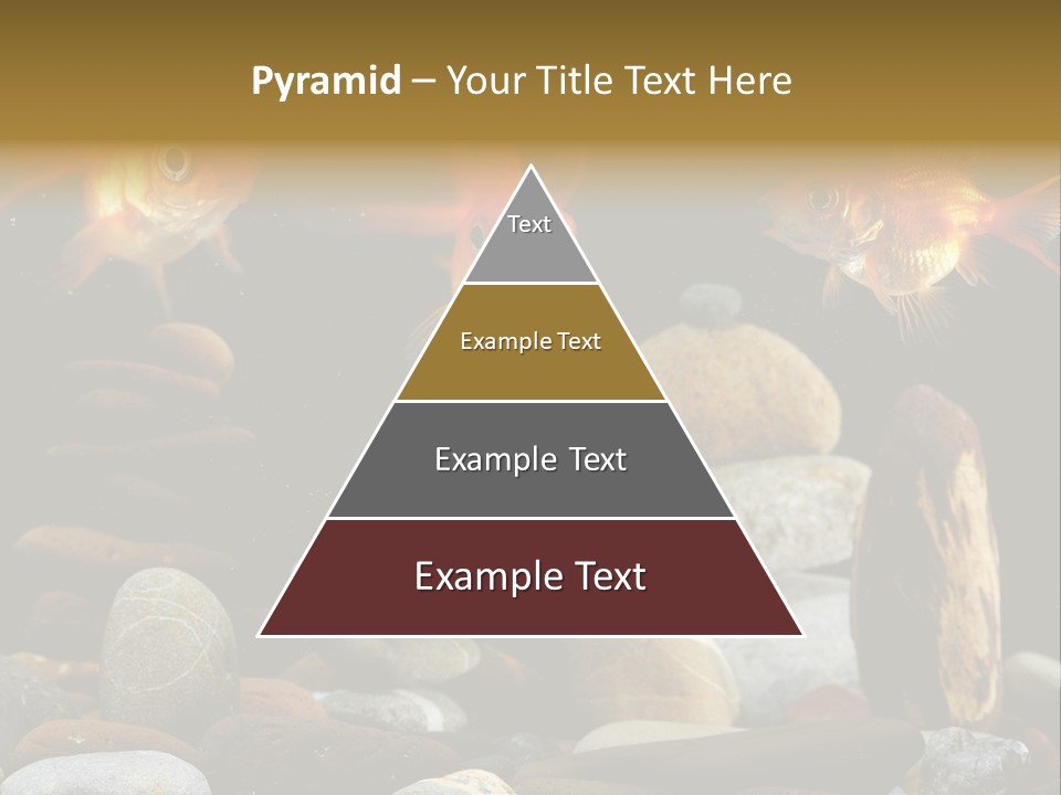 Beauty Bubbles Zen PowerPoint Template