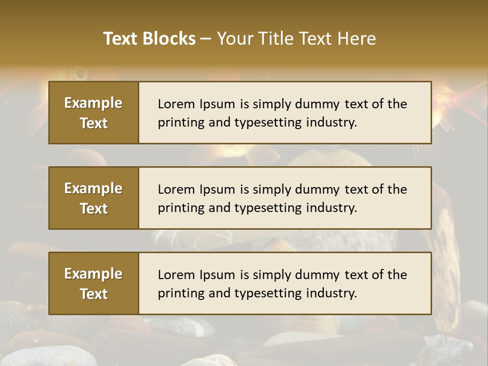 Beauty Bubbles Zen PowerPoint Template