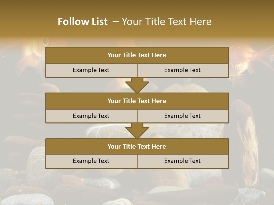 Beauty Bubbles Zen PowerPoint Template