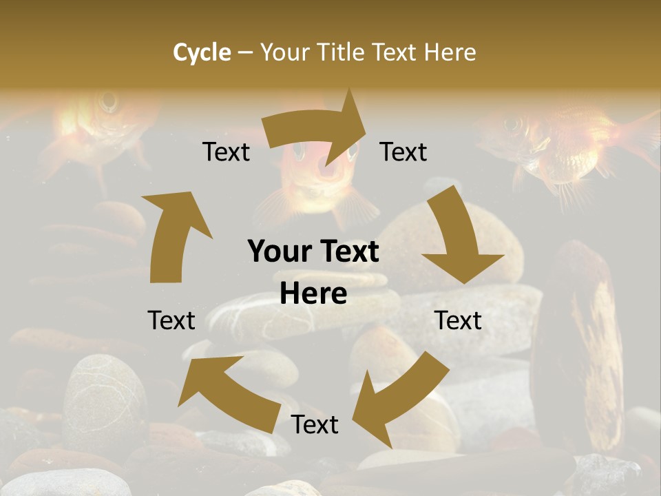 Beauty Bubbles Zen PowerPoint Template