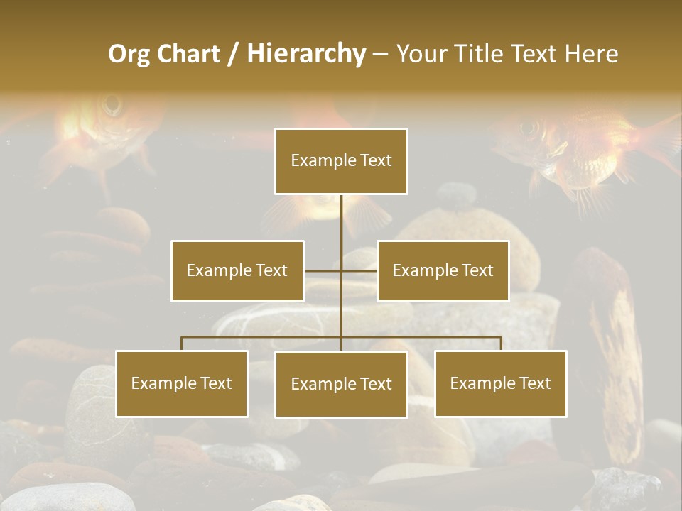 Beauty Bubbles Zen PowerPoint Template