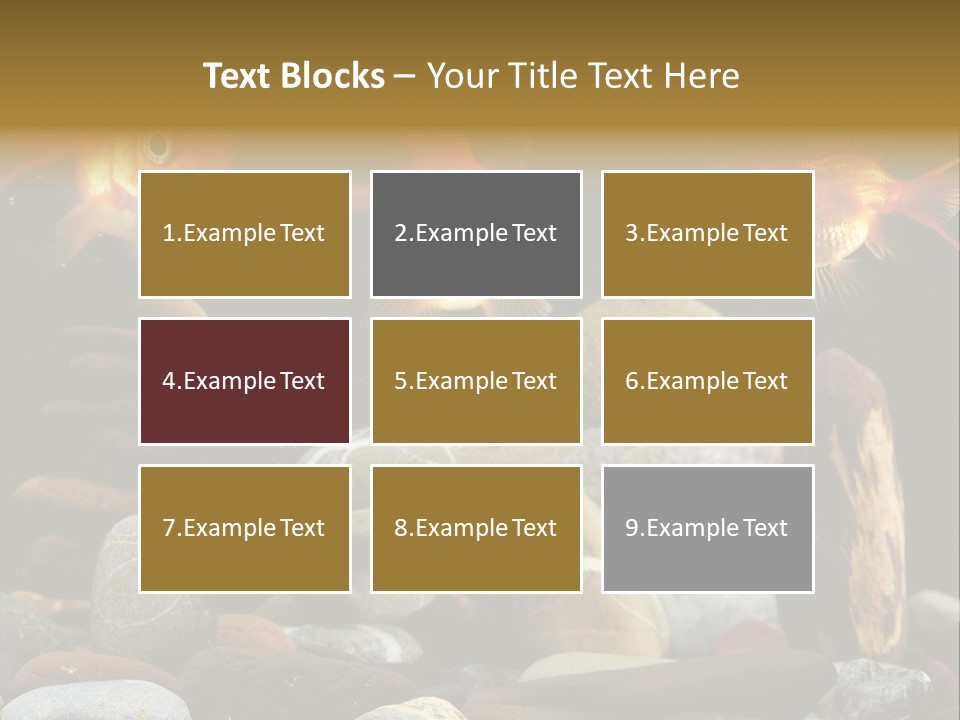 Beauty Bubbles Zen PowerPoint Template