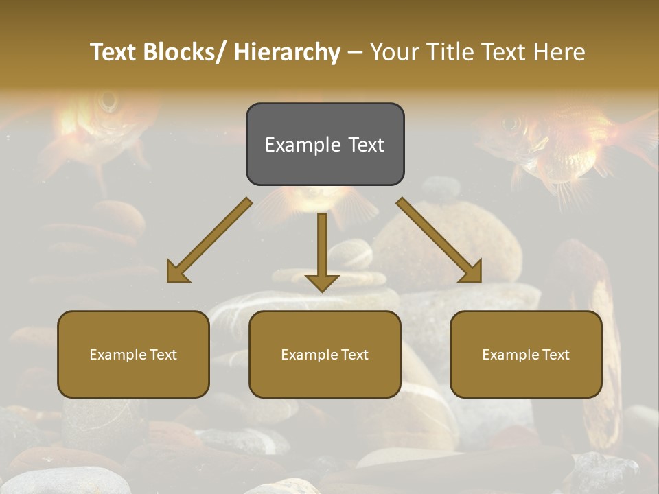 Beauty Bubbles Zen PowerPoint Template