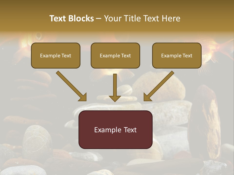 Beauty Bubbles Zen PowerPoint Template