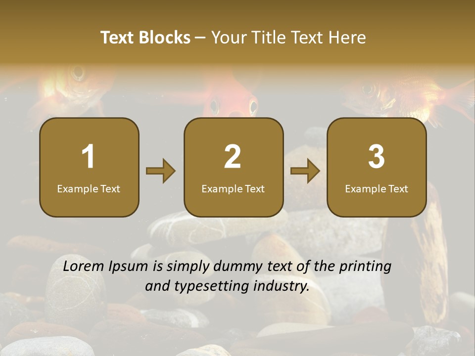 Beauty Bubbles Zen PowerPoint Template