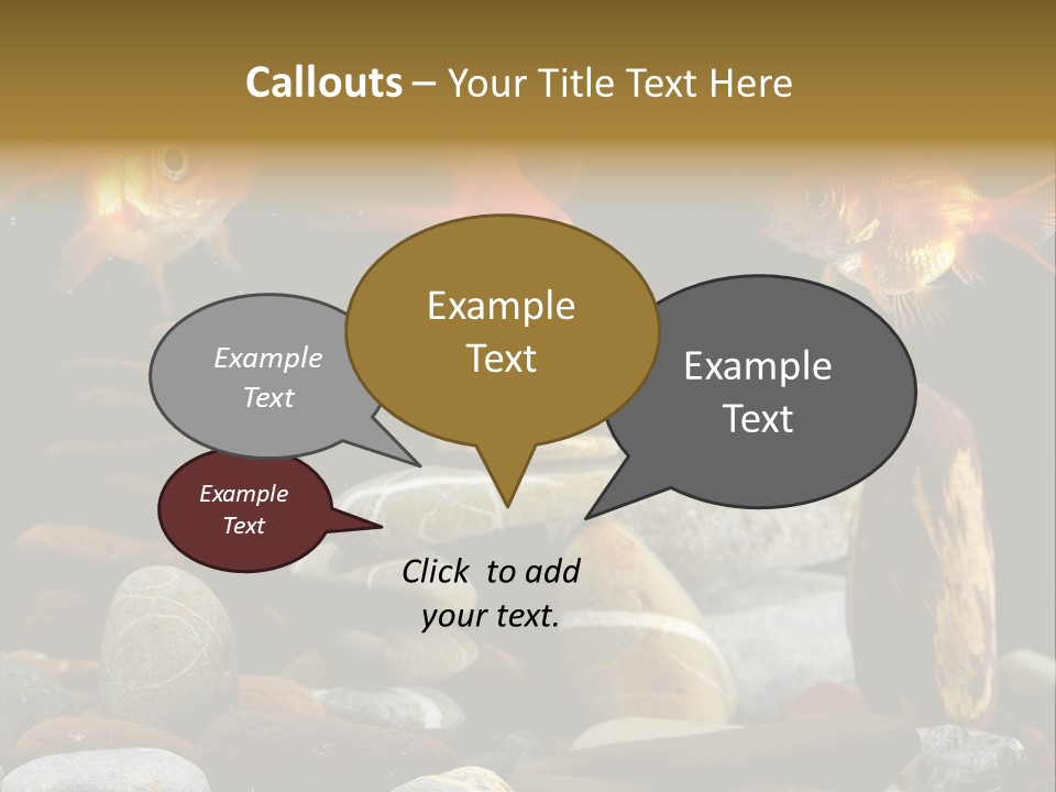 Beauty Bubbles Zen PowerPoint Template