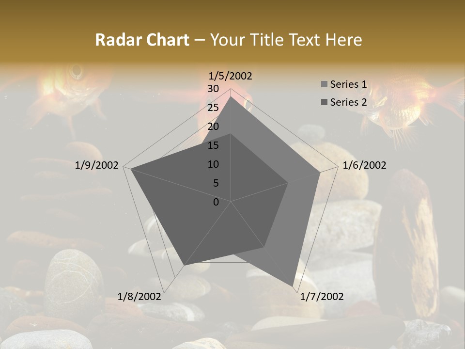 Beauty Bubbles Zen PowerPoint Template