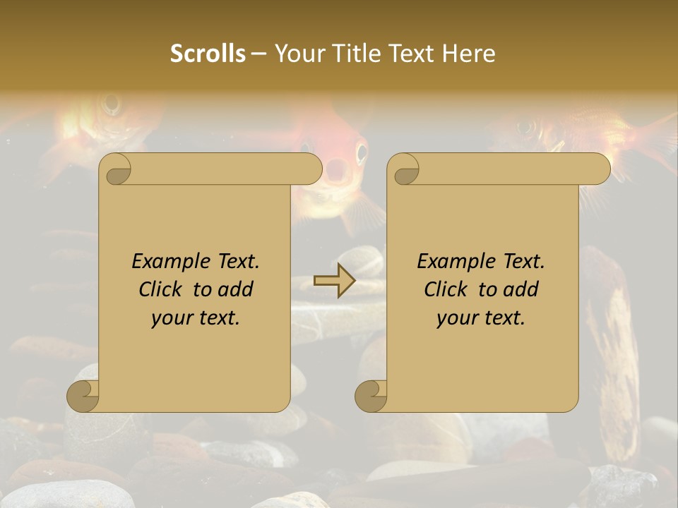 Beauty Bubbles Zen PowerPoint Template