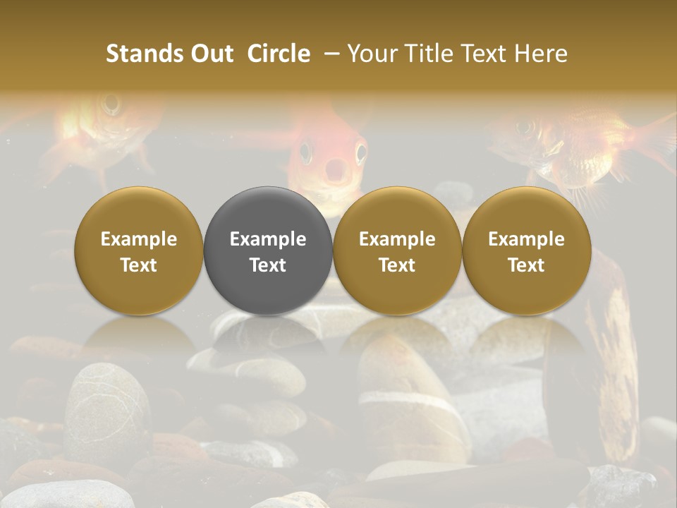 Beauty Bubbles Zen PowerPoint Template