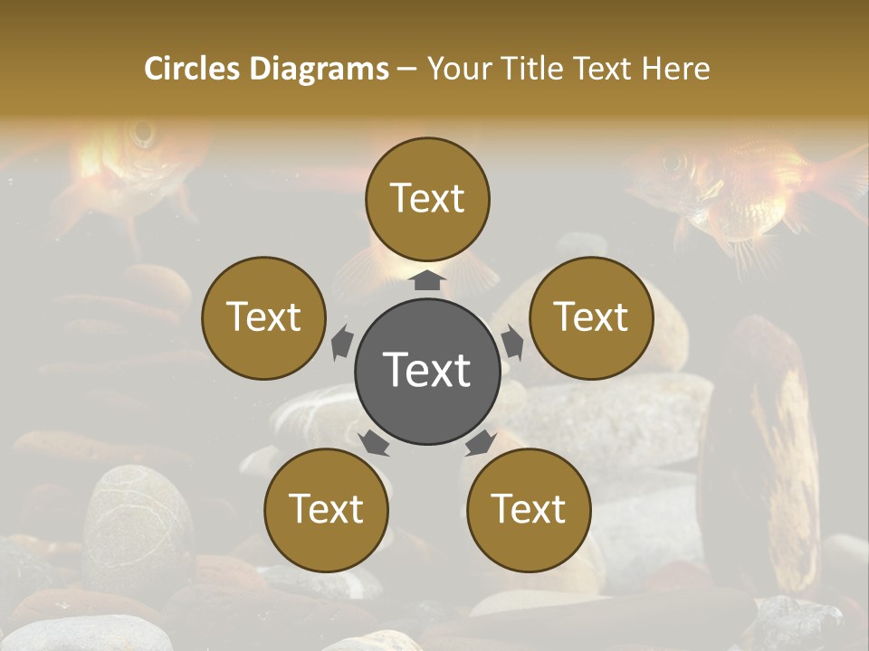 Beauty Bubbles Zen PowerPoint Template