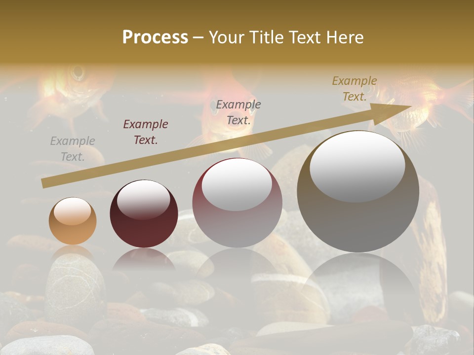 Beauty Bubbles Zen PowerPoint Template