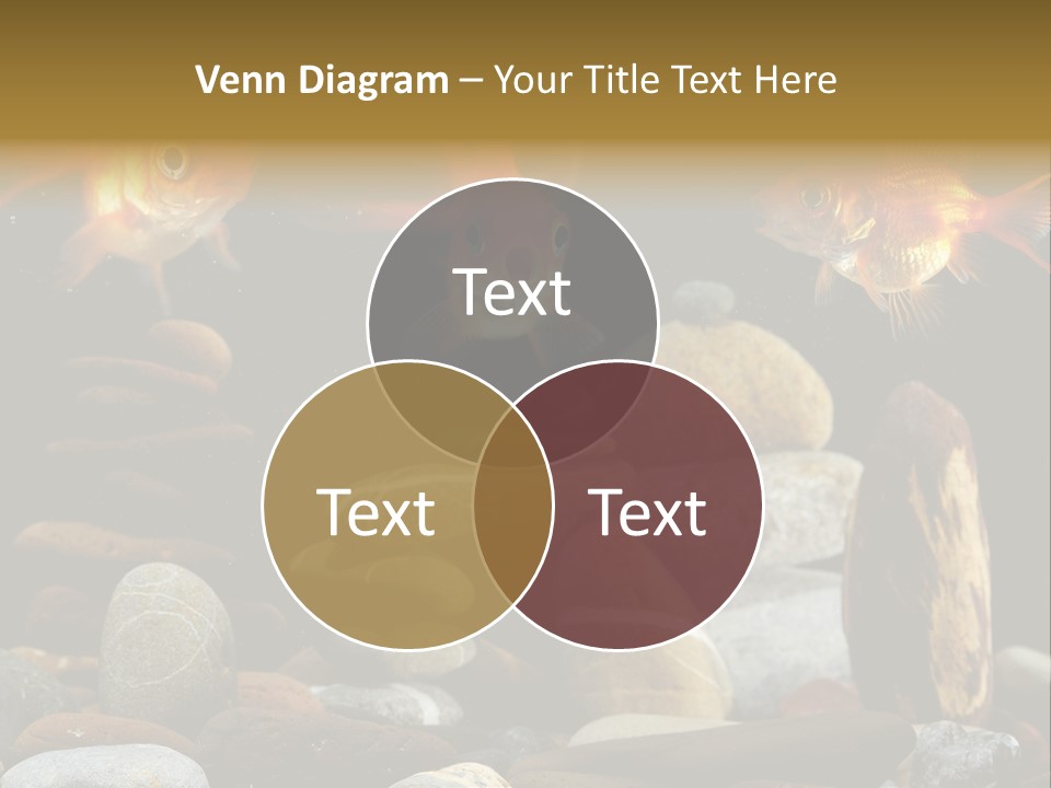 Beauty Bubbles Zen PowerPoint Template