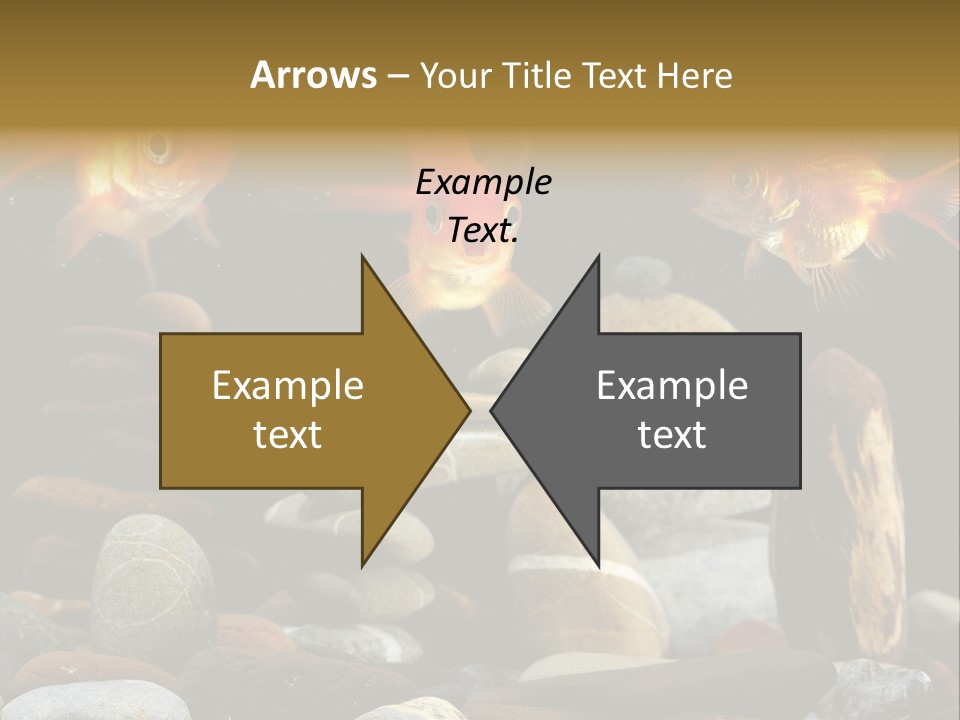 Beauty Bubbles Zen PowerPoint Template