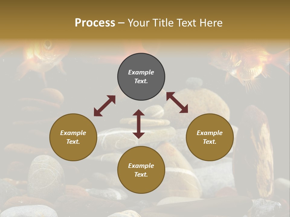 Beauty Bubbles Zen PowerPoint Template