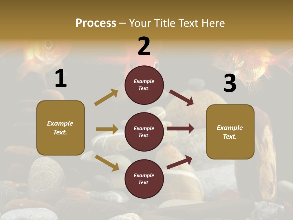 Beauty Bubbles Zen PowerPoint Template