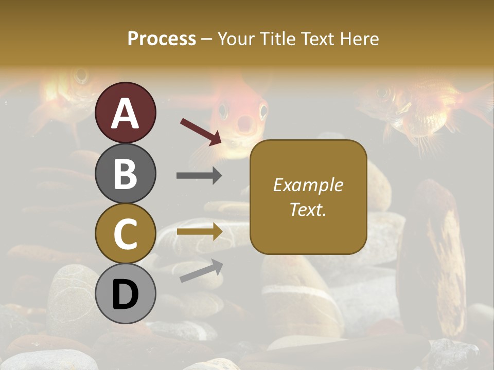 Beauty Bubbles Zen PowerPoint Template