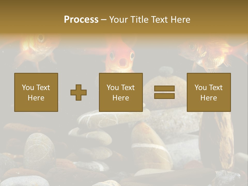 Beauty Bubbles Zen PowerPoint Template