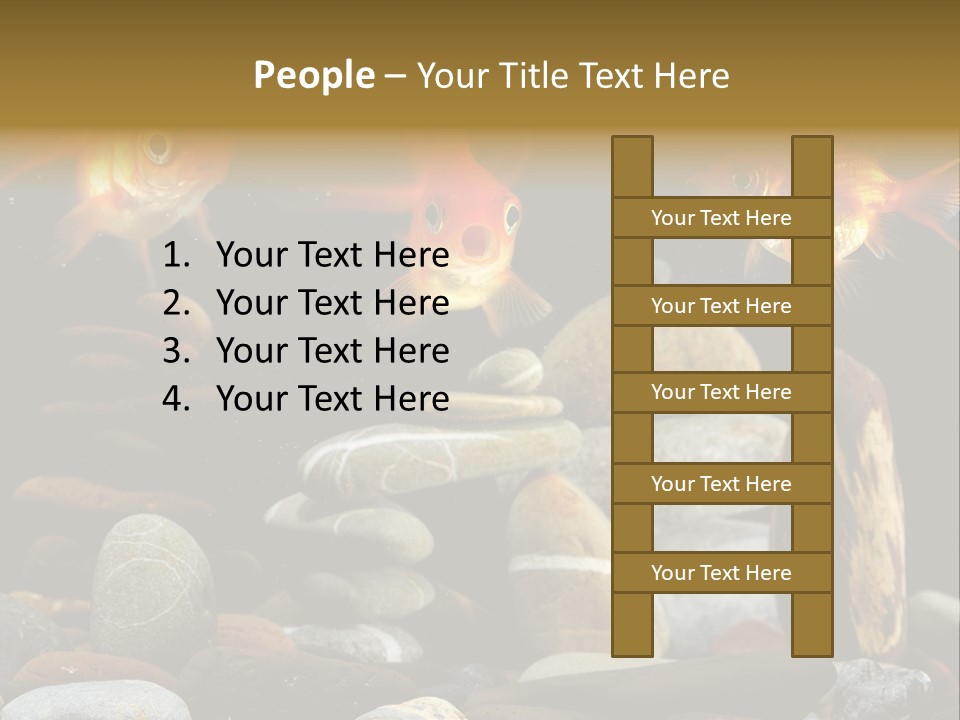 Beauty Bubbles Zen PowerPoint Template