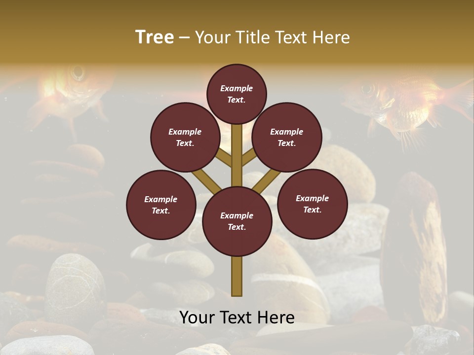 Beauty Bubbles Zen PowerPoint Template