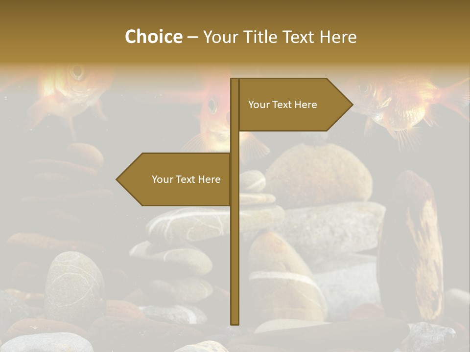 Beauty Bubbles Zen PowerPoint Template