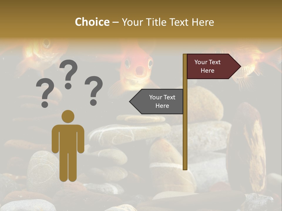 Beauty Bubbles Zen PowerPoint Template