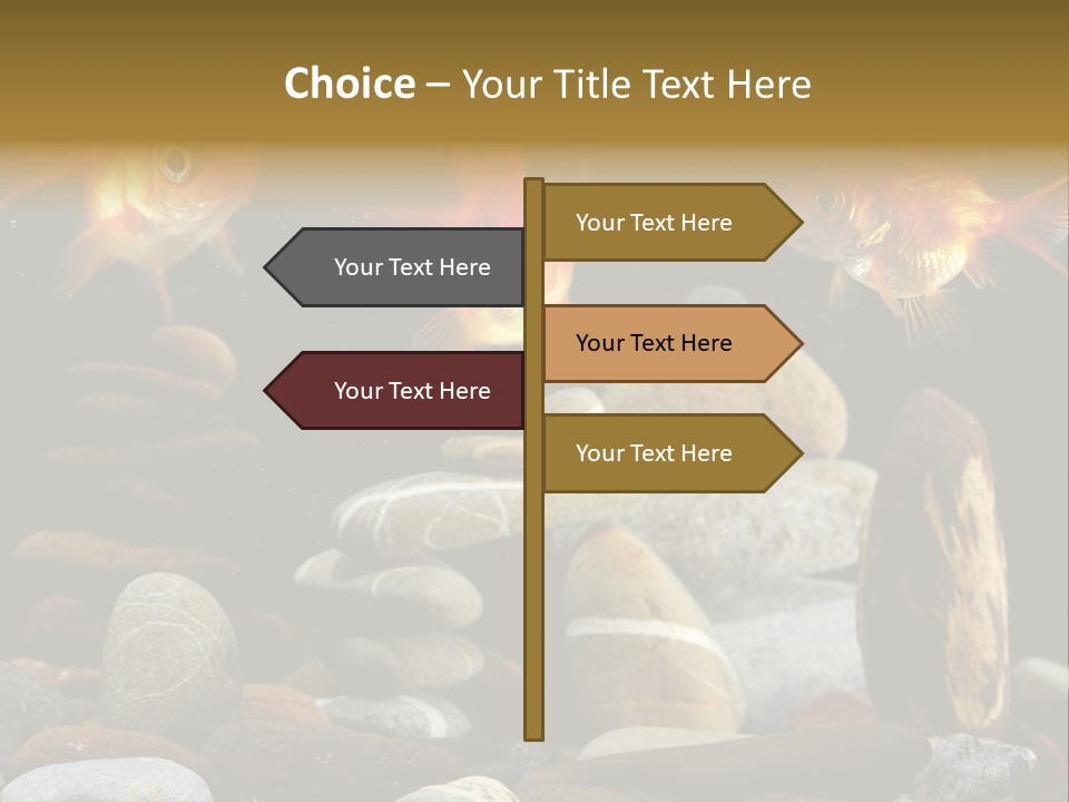 Beauty Bubbles Zen PowerPoint Template