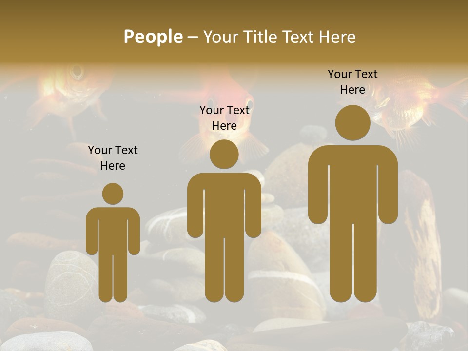 Beauty Bubbles Zen PowerPoint Template