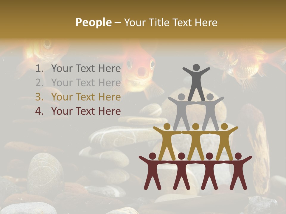 Beauty Bubbles Zen PowerPoint Template