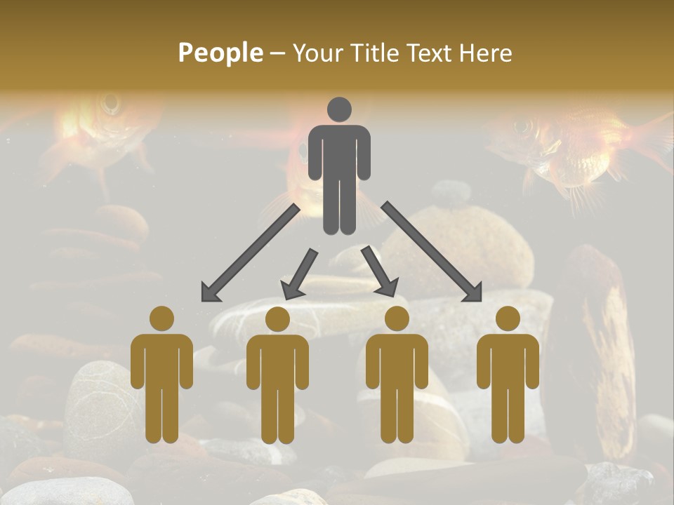 Beauty Bubbles Zen PowerPoint Template