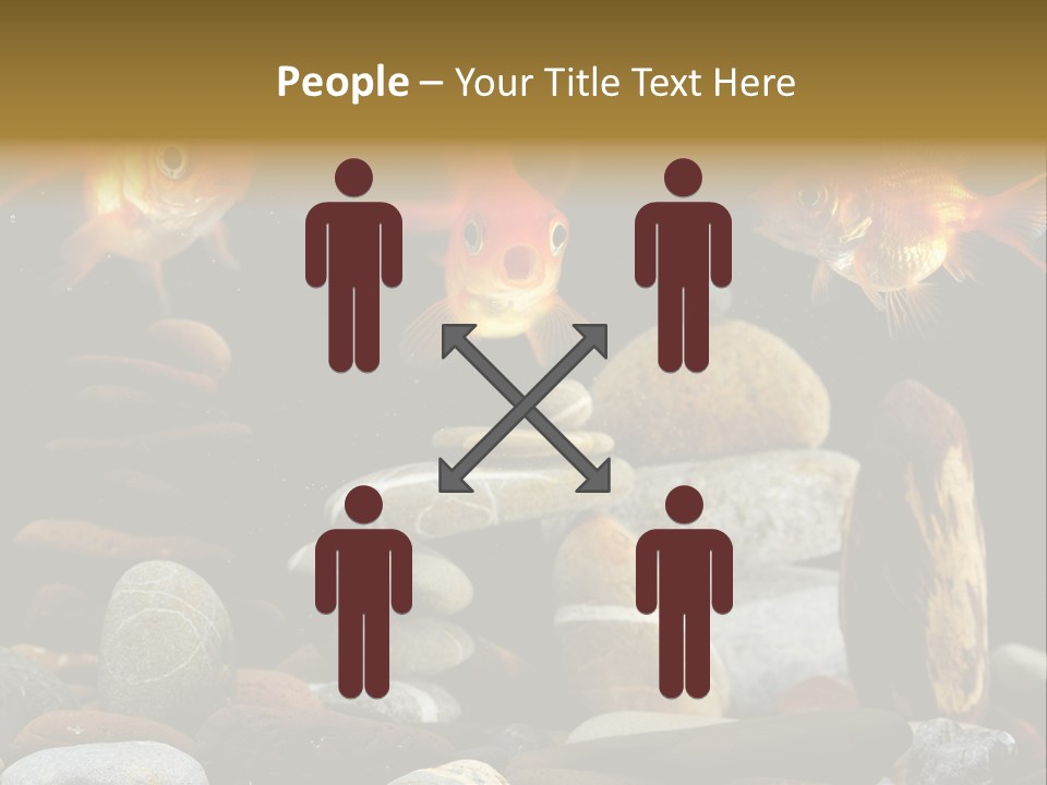 Beauty Bubbles Zen PowerPoint Template