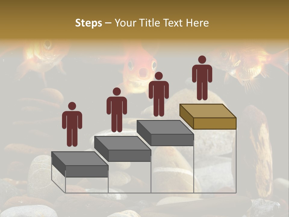 Beauty Bubbles Zen PowerPoint Template