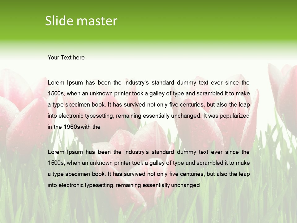 Water Raindrop Drop PowerPoint Template