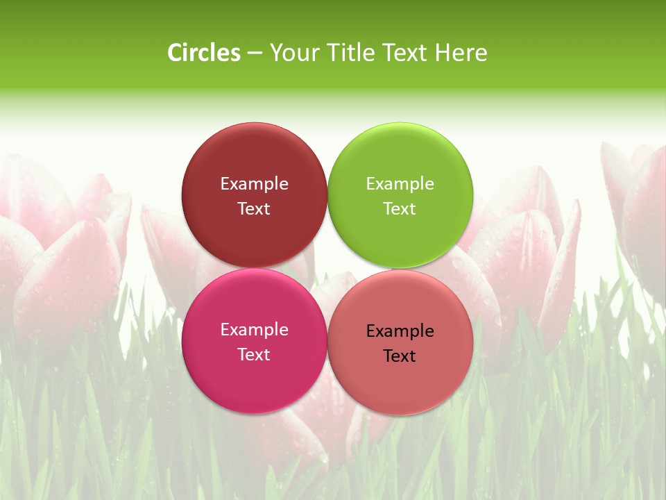 Water Raindrop Drop PowerPoint Template