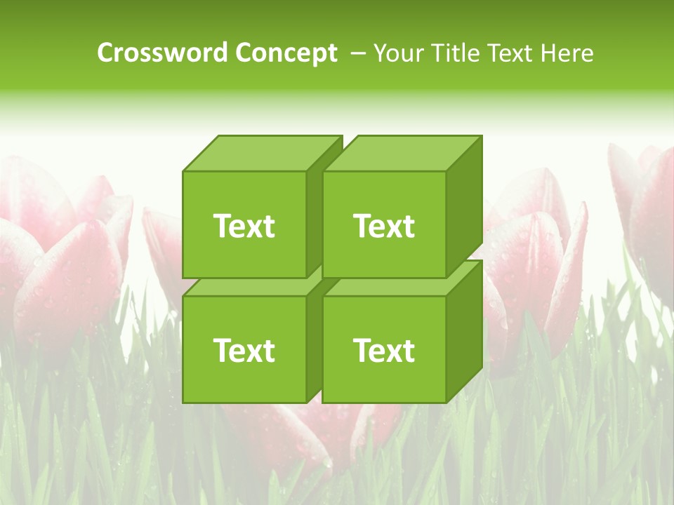 Water Raindrop Drop PowerPoint Template