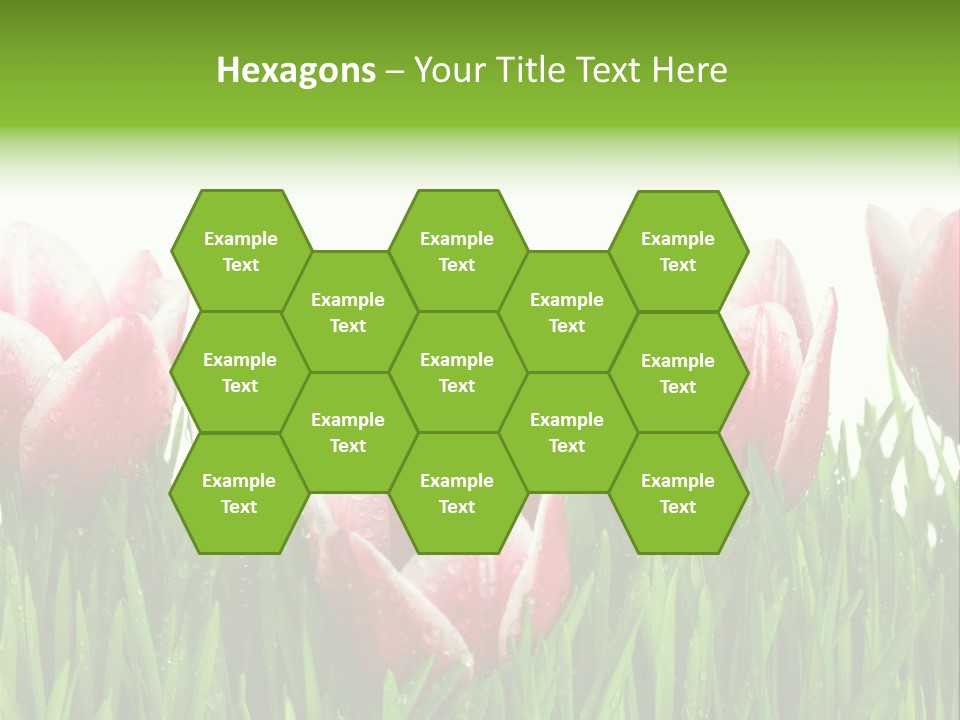 Water Raindrop Drop PowerPoint Template